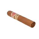 1000233268-removebg-preview.webp