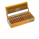 PDR El Criollito Rosado Short Gordo